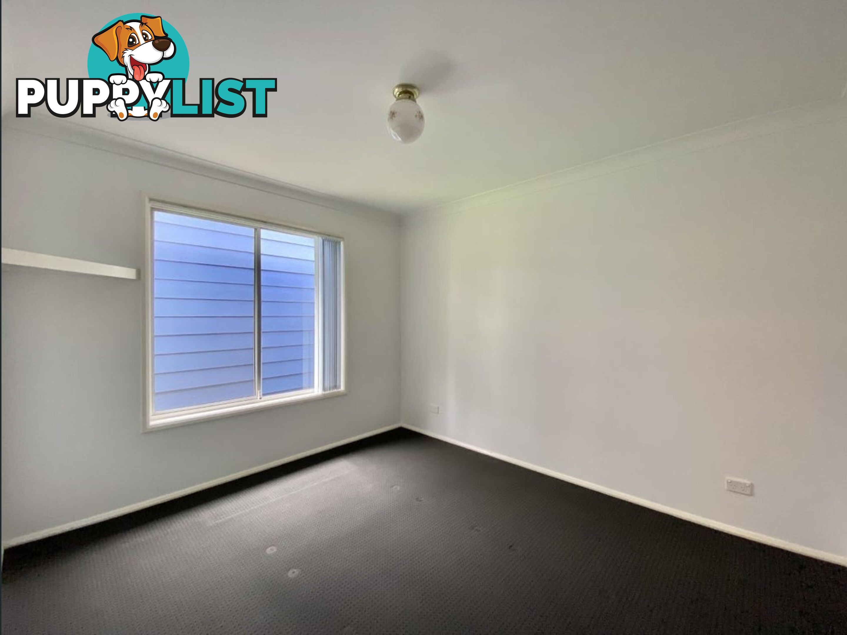 12 Tangerine Avenue SPRINGFIELD NSW 2250