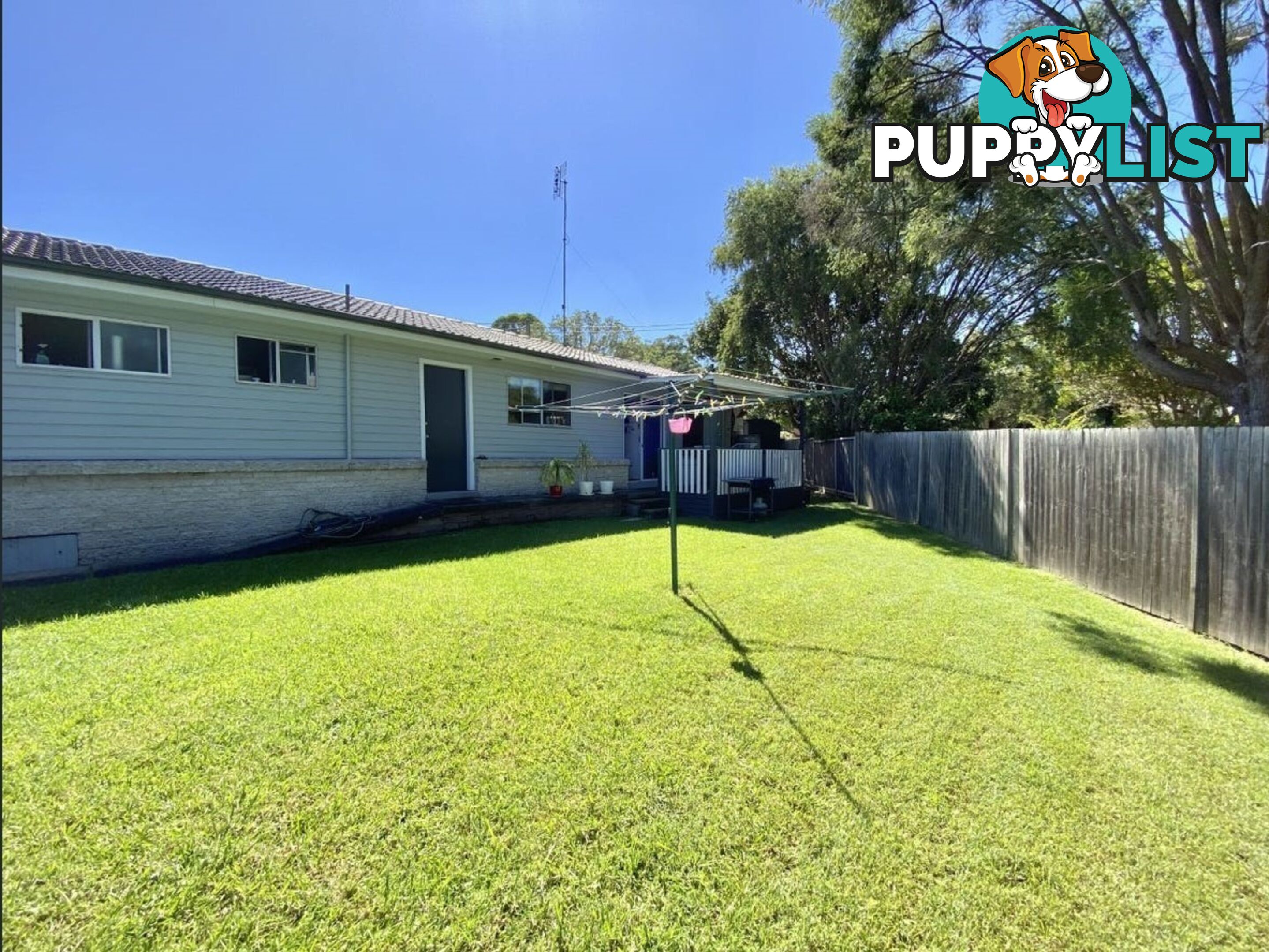 12 Tangerine Avenue SPRINGFIELD NSW 2250