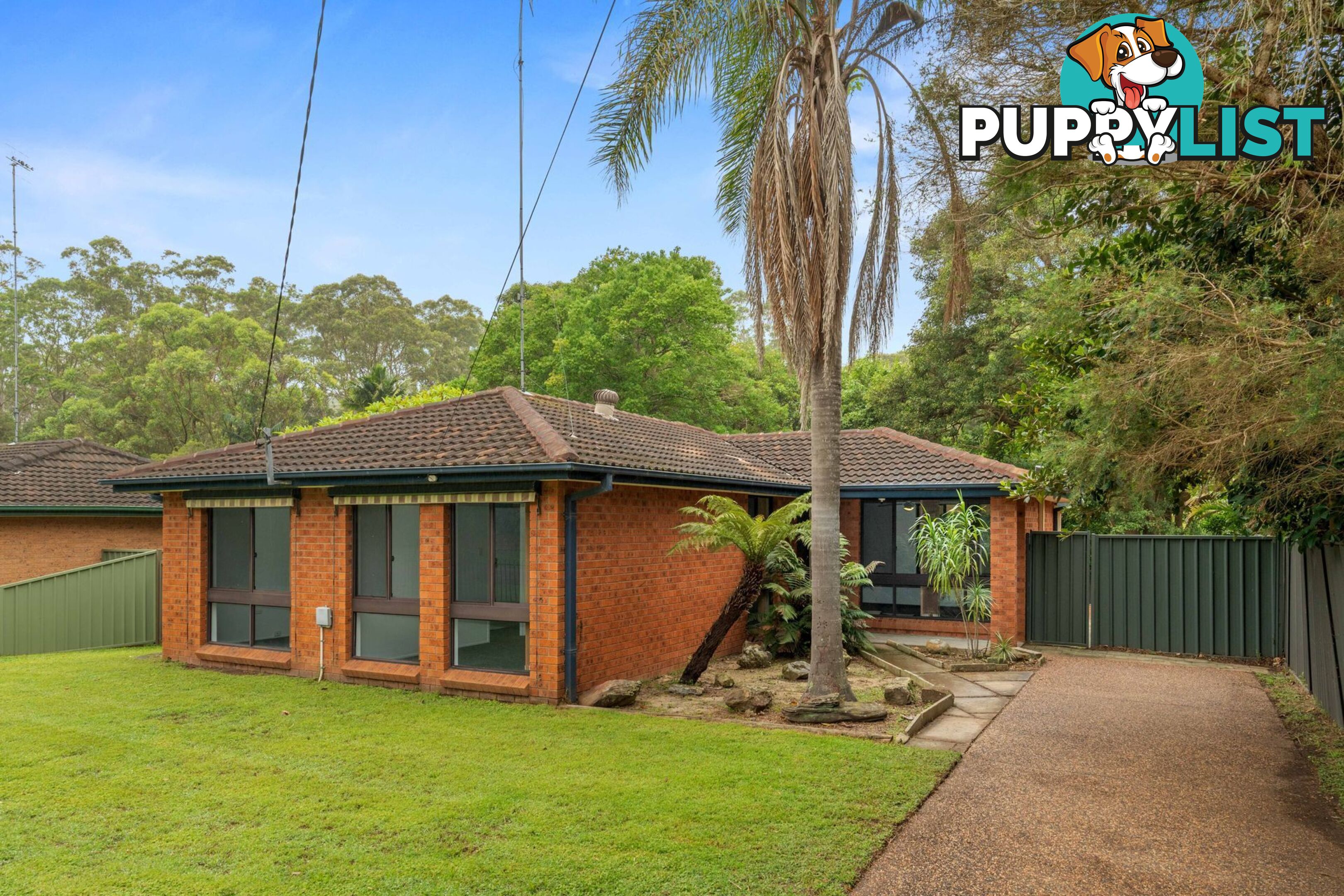 90 Springfield Road SPRINGFIELD NSW 2250