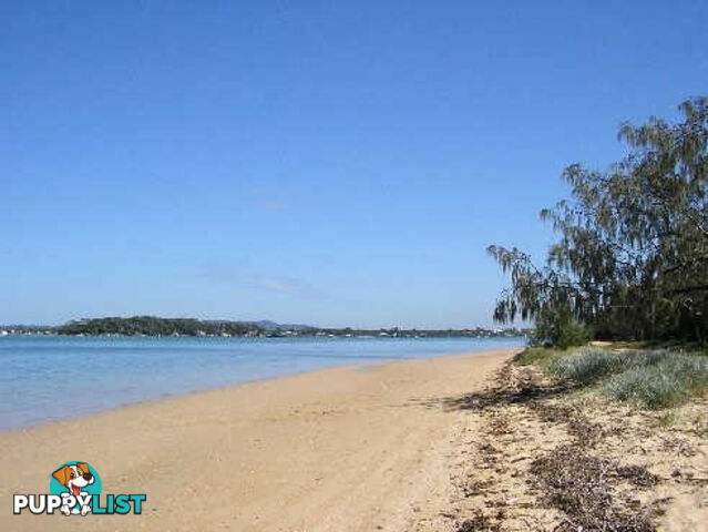 52 Tageruba COOCHIEMUDLO ISLAND QLD 4184