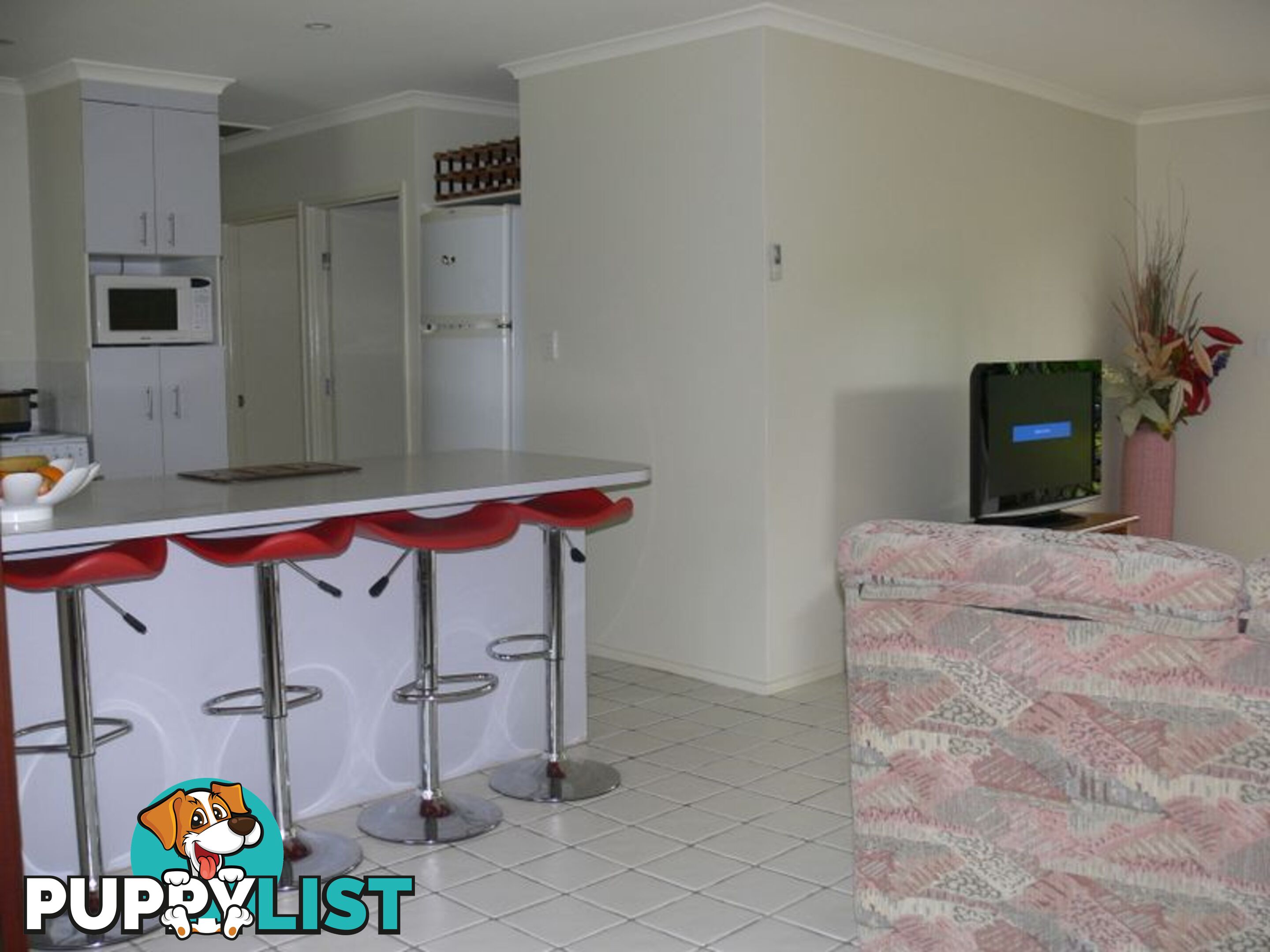 11 Carefree Street COOCHIEMUDLO ISLAND QLD 4184