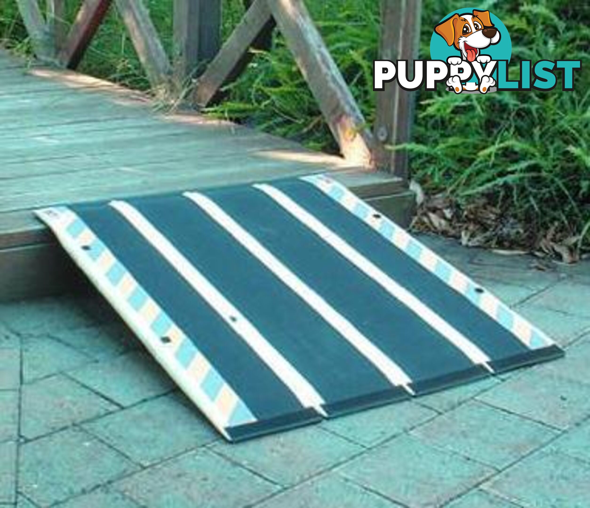 Portable Ramps Invacare _ Senior