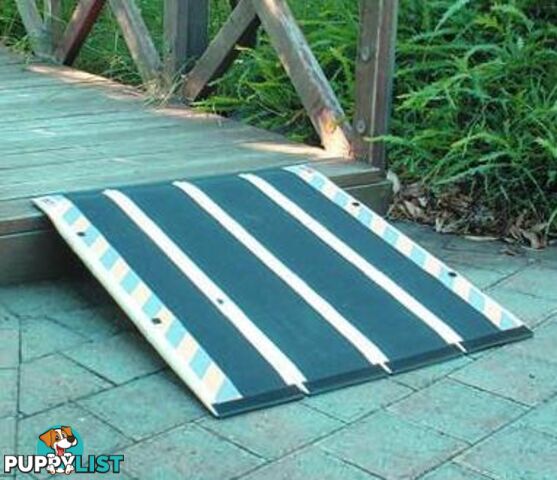 Portable Ramps Invacare _ Senior