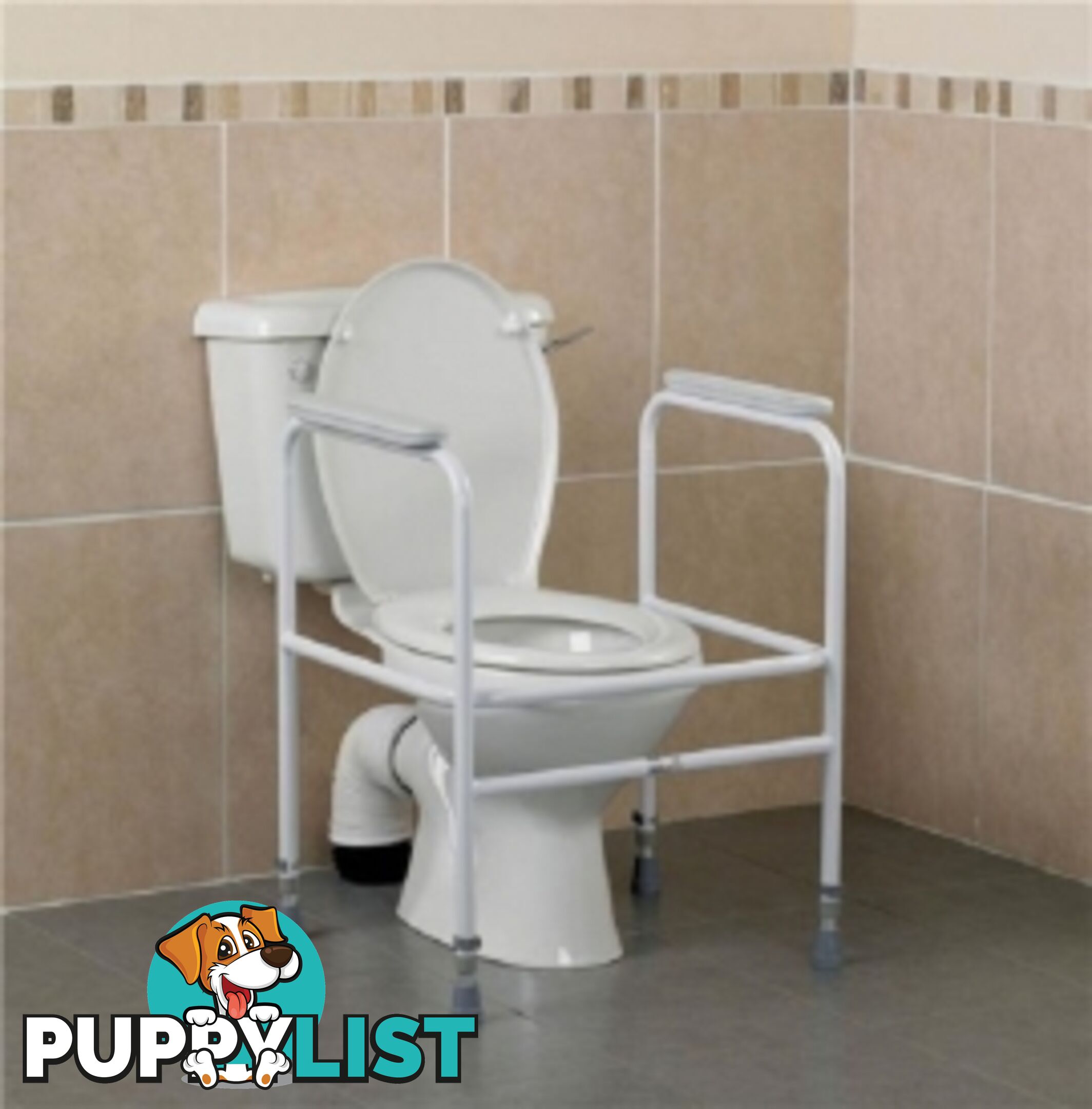 Toilet Safety Frame