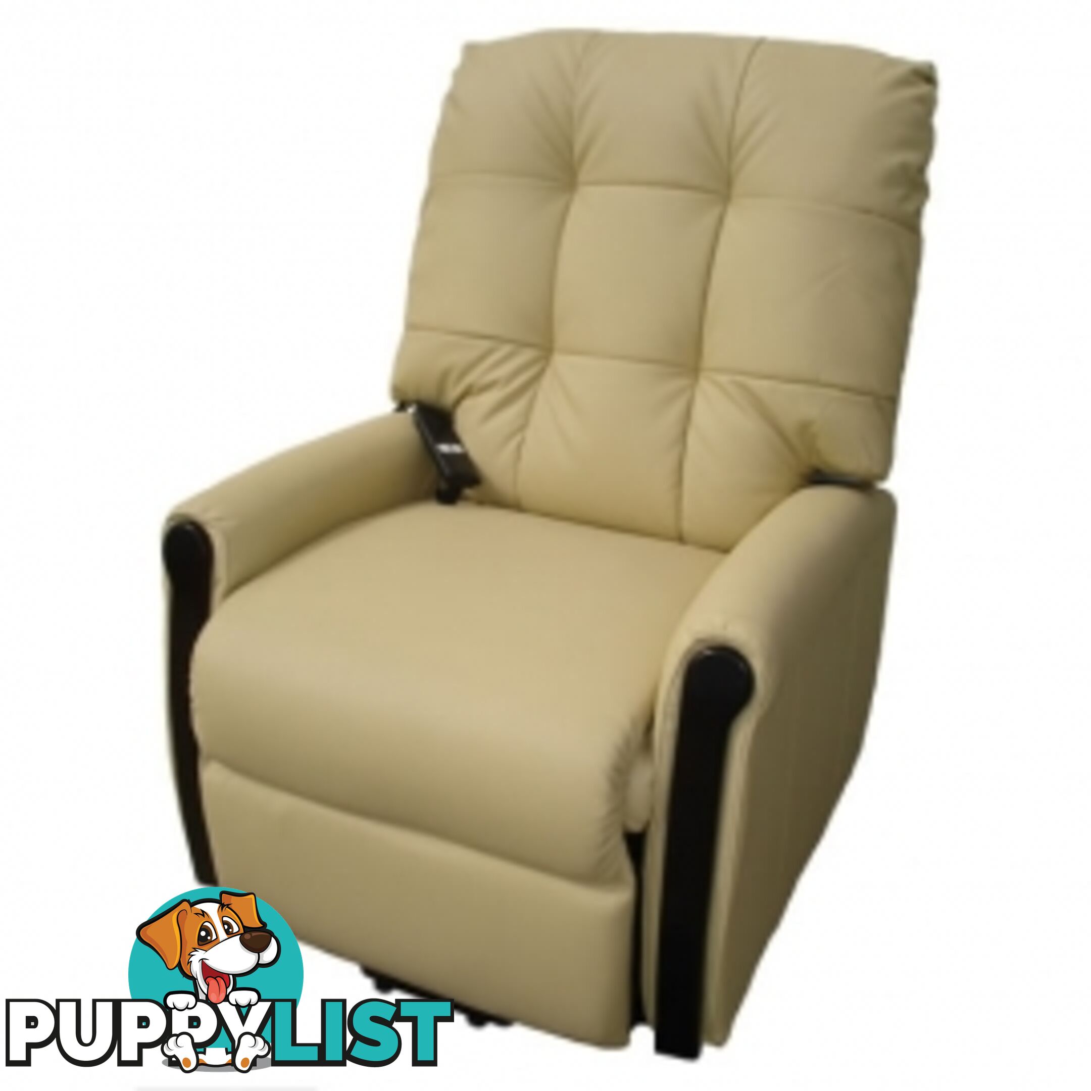 Electric LIFT CHAIR SM WSAVE PU BEIGE WOW PRIAM