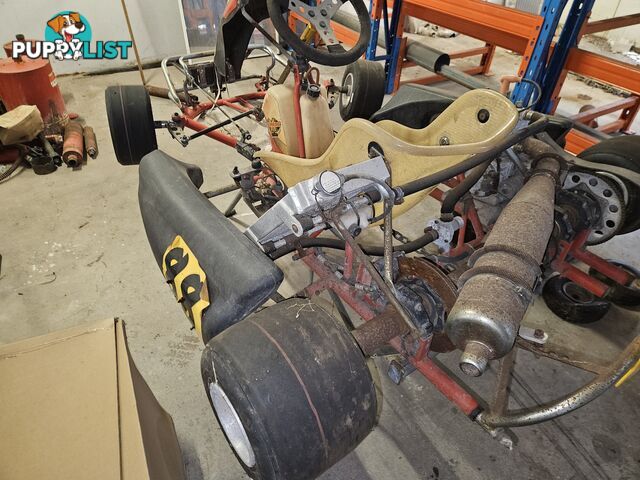 125cc SQ Go-Kart TAG (electric start)