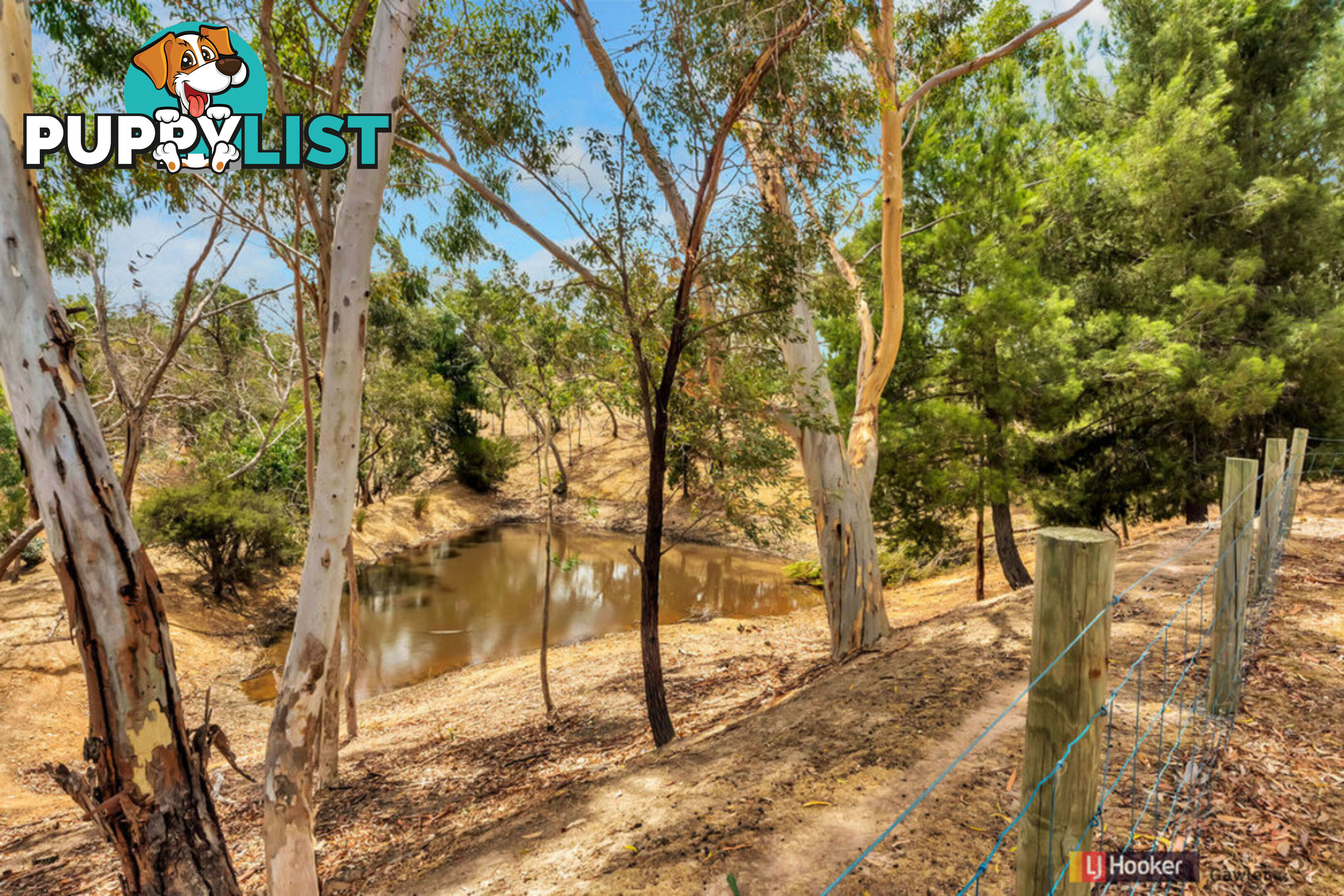 136 Bassnet Road (Humbug Scrub) ONE TREE HILL SA 5114