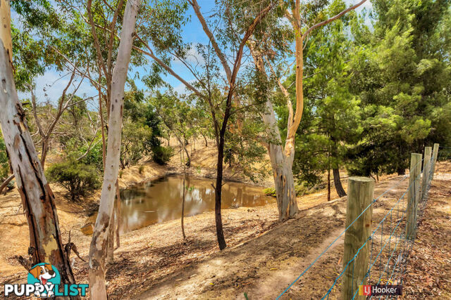 136 Bassnet Road (Humbug Scrub) ONE TREE HILL SA 5114