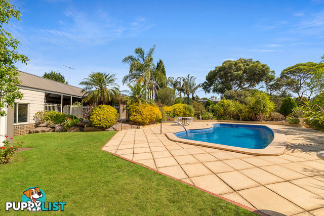 20 Sunnydale Avenue GAWLER EAST SA 5118