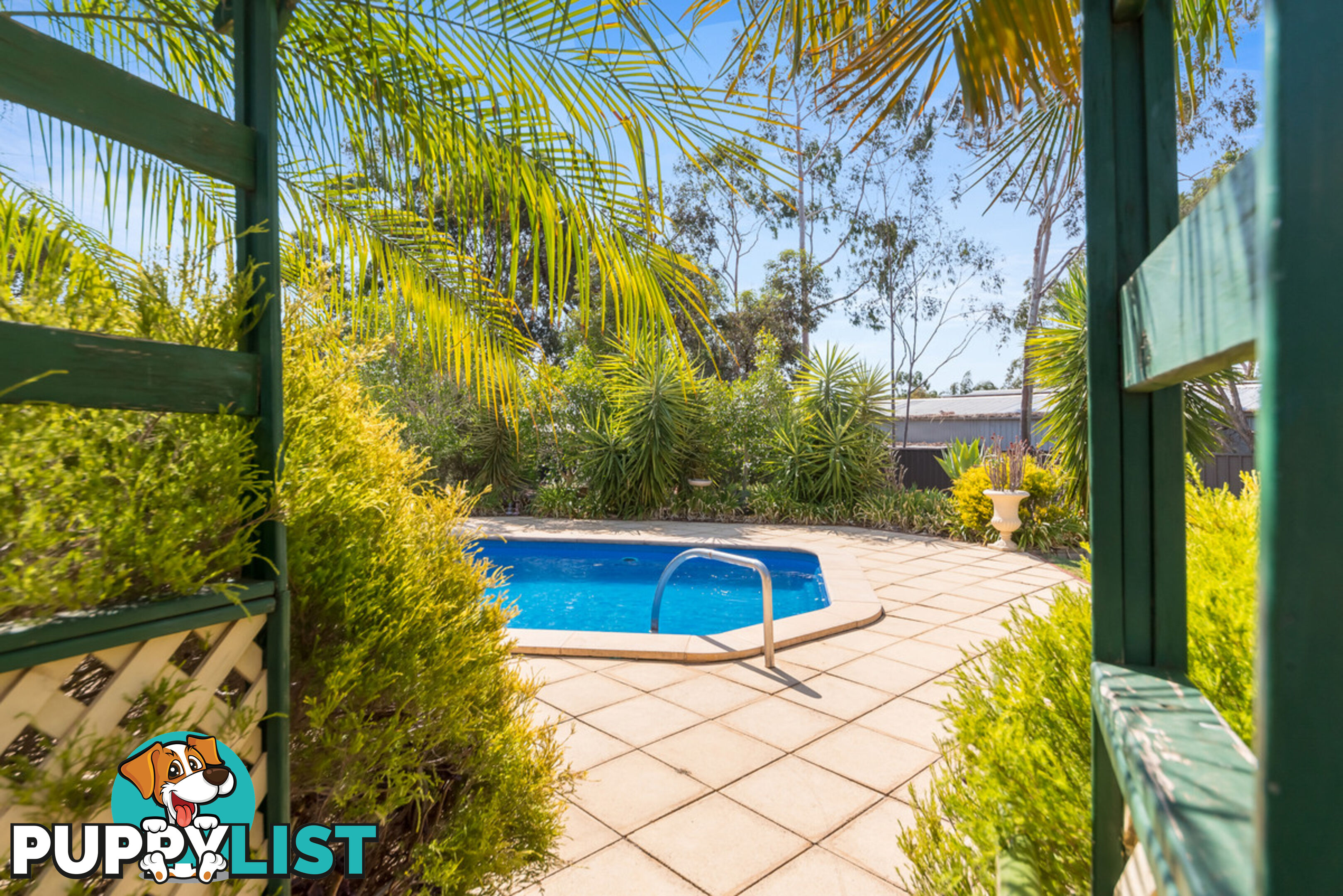 20 Sunnydale Avenue GAWLER EAST SA 5118