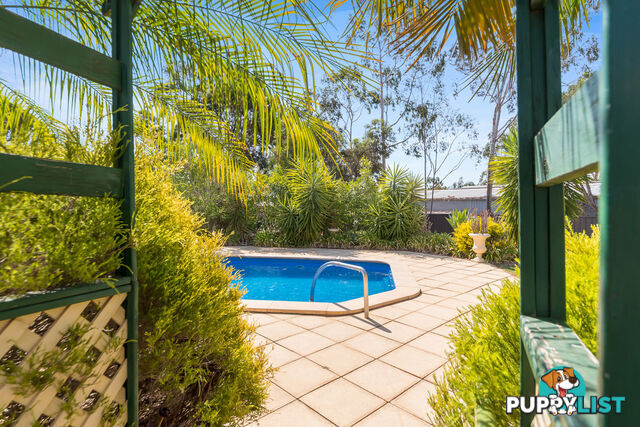 20 Sunnydale Avenue GAWLER EAST SA 5118