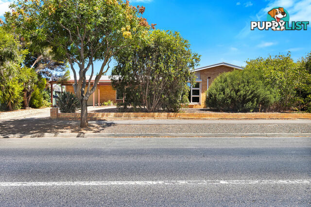 35 Gawler Street NURIOOTPA SA 5355