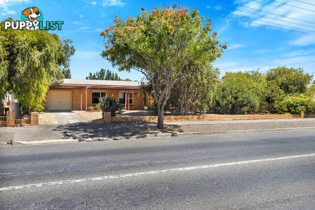 35 Gawler Street NURIOOTPA SA 5355