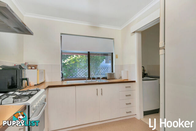 1/4 Ayling Street WILLASTON SA 5118