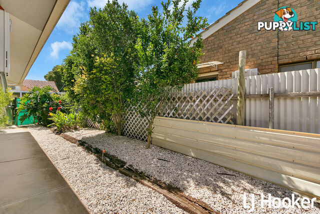 1/4 Ayling Street WILLASTON SA 5118