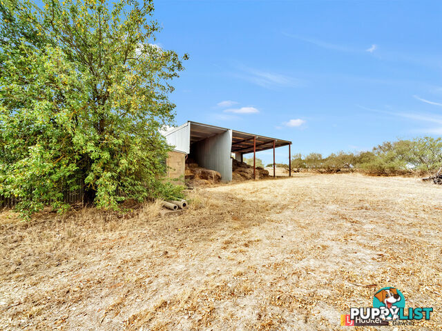 614 Lindsay Park Road MOCULTA SA 5353