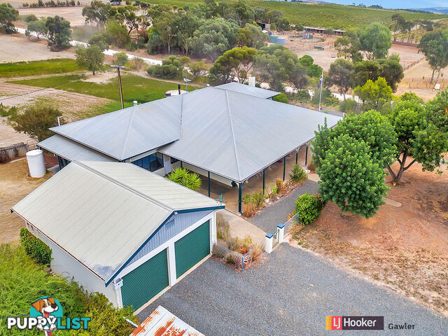 614 Lindsay Park Road MOCULTA SA 5353