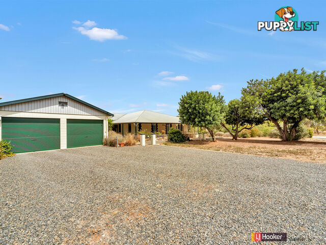 614 Lindsay Park Road MOCULTA SA 5353