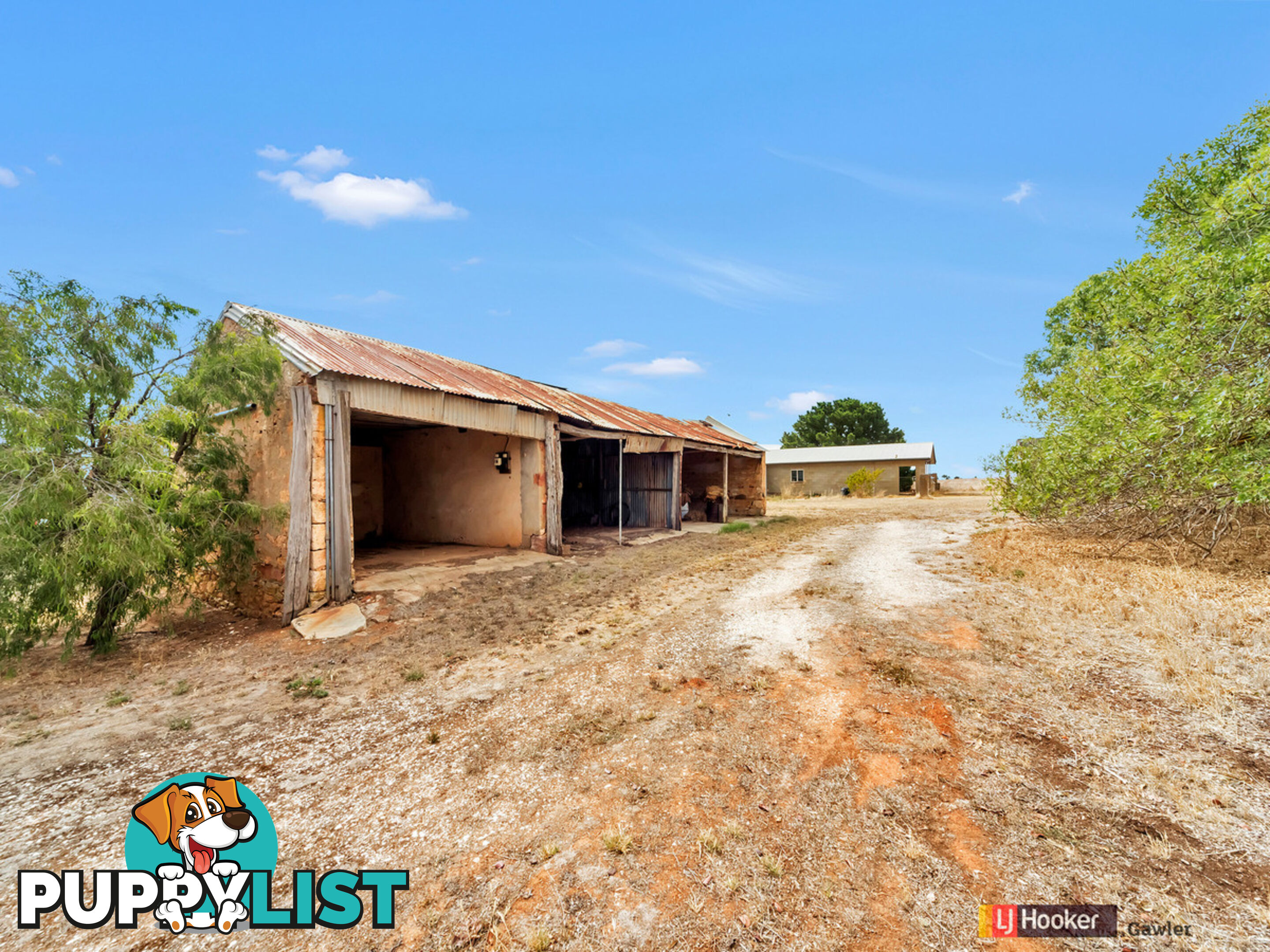 614 Lindsay Park Road MOCULTA SA 5353