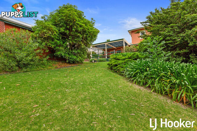 7 Coachwood Drive ABERFOYLE PARK SA 5159