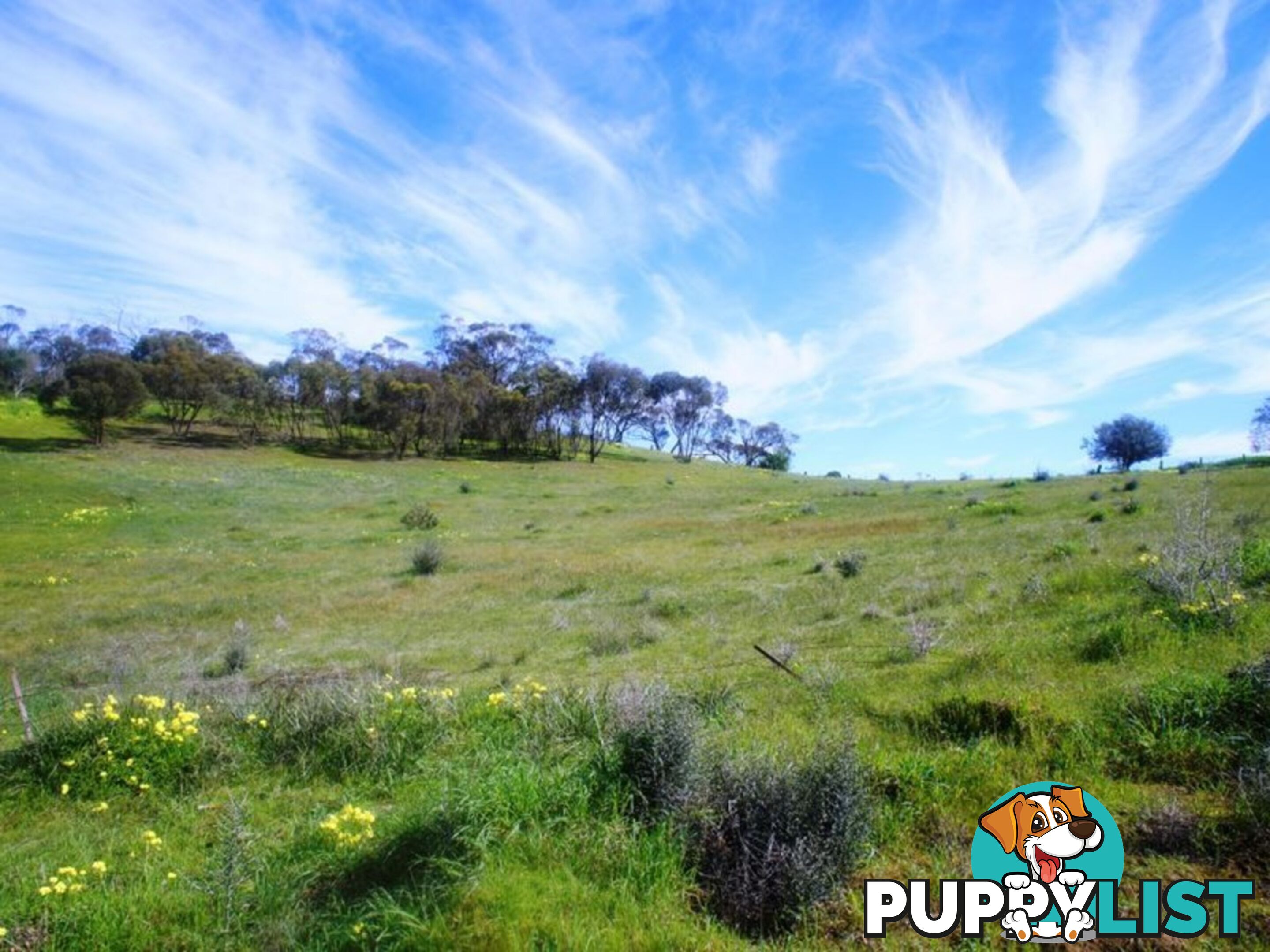Lot 412 Mattschoss Road DAVEYSTON SA 5355