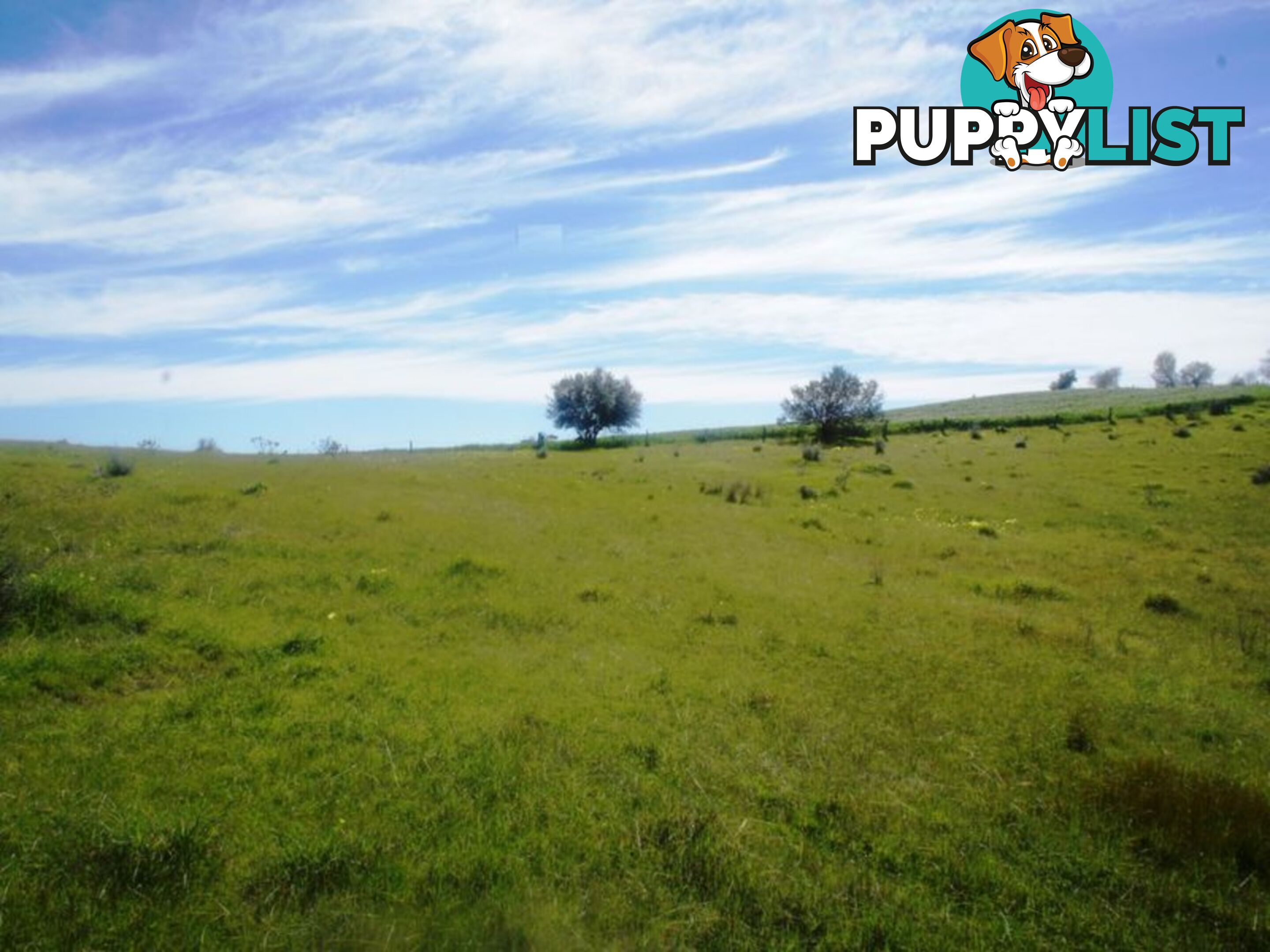 Lot 412 Mattschoss Road DAVEYSTON SA 5355