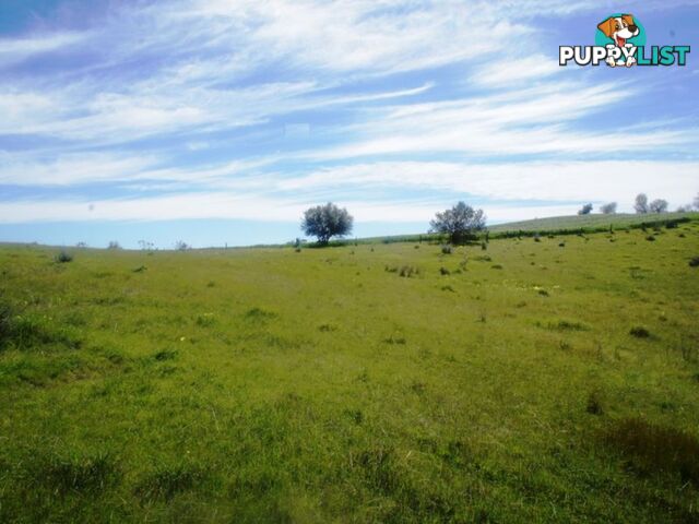Lot 412 Mattschoss Road DAVEYSTON SA 5355