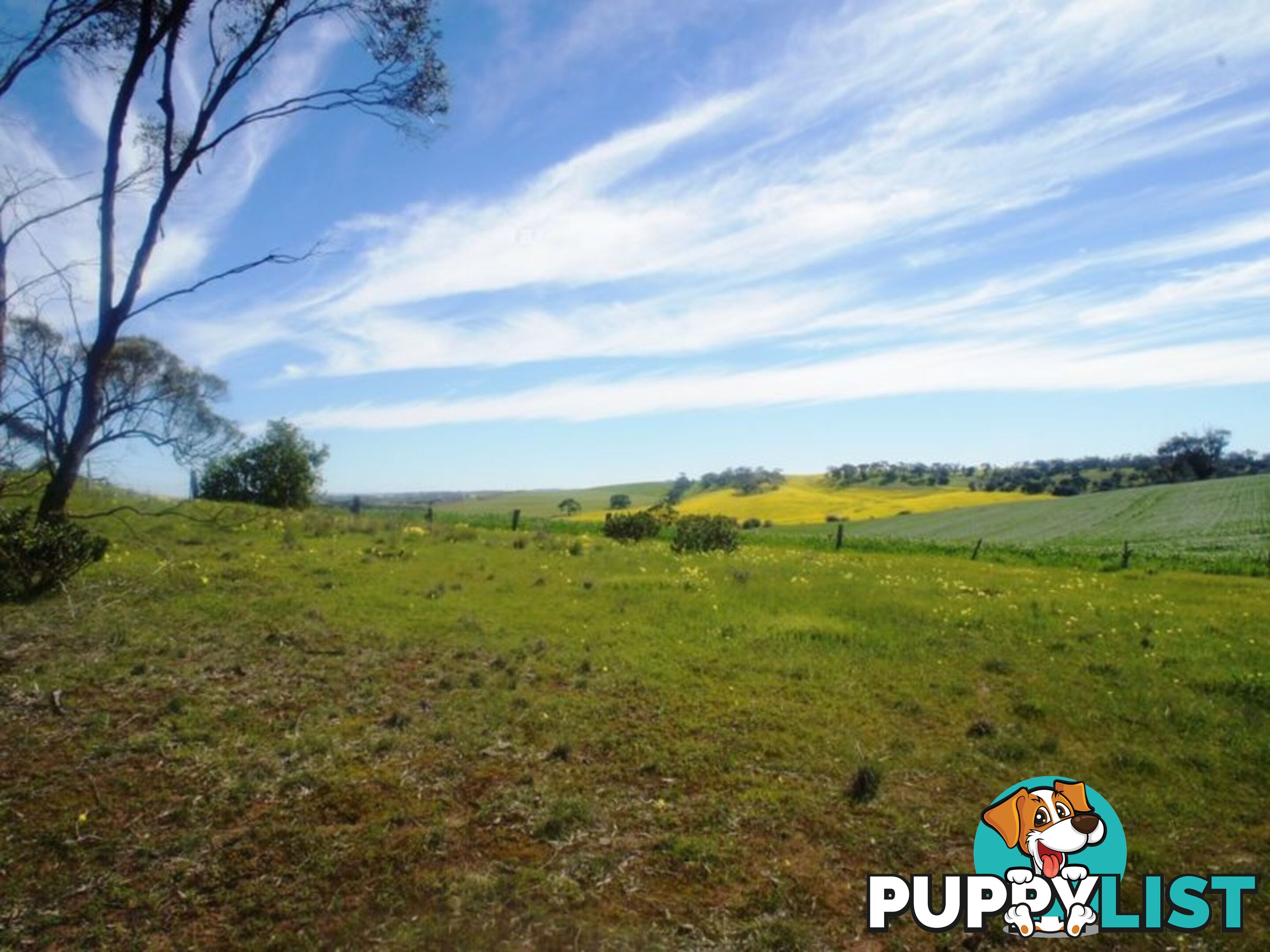 Lot 412 Mattschoss Road DAVEYSTON SA 5355