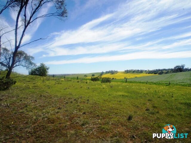 Lot 412 Mattschoss Road DAVEYSTON SA 5355