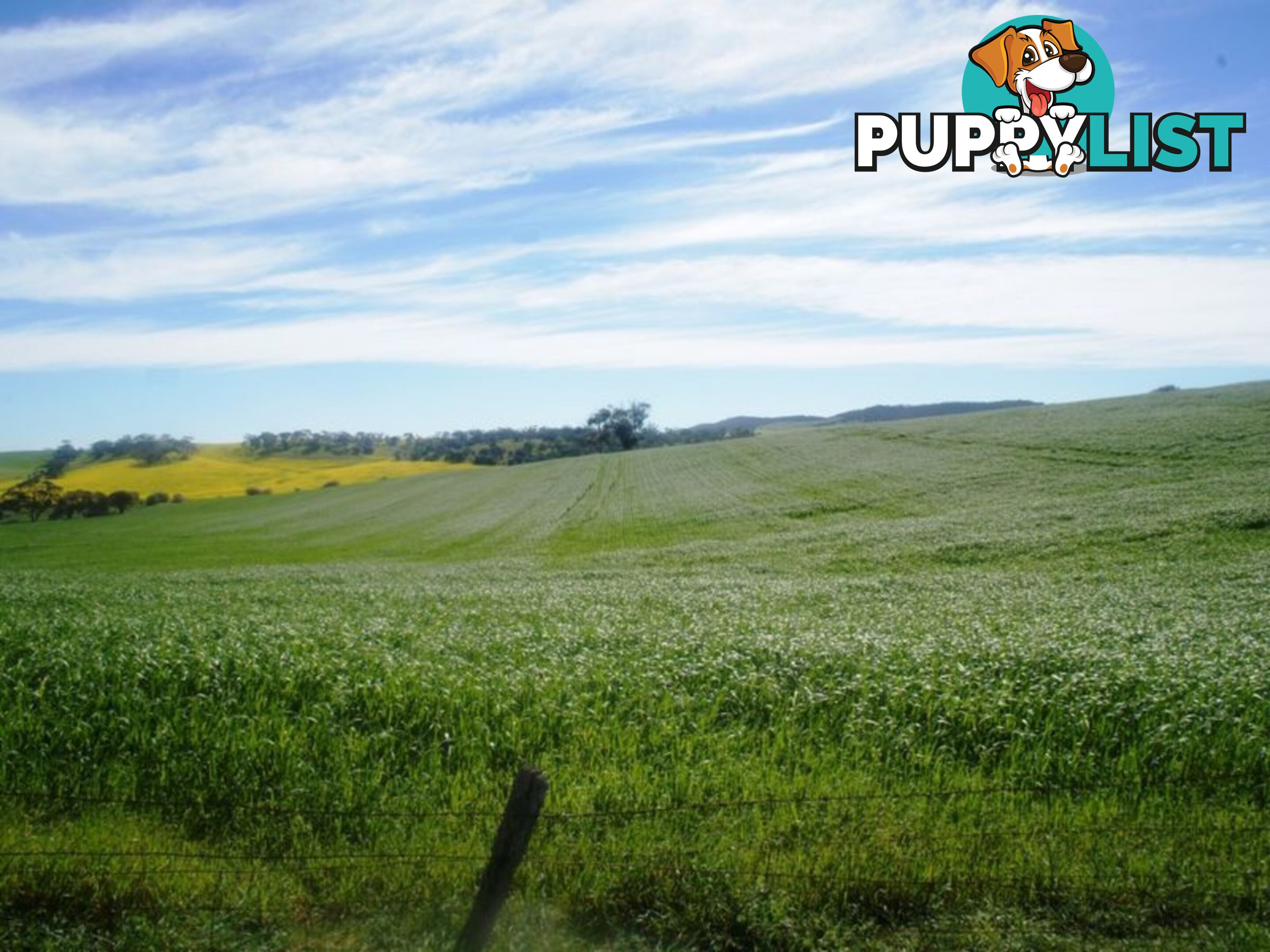 Lot 412 Mattschoss Road DAVEYSTON SA 5355