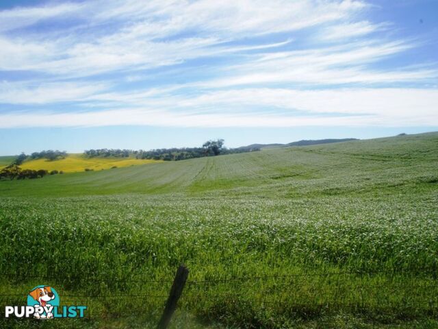 Lot 412 Mattschoss Road DAVEYSTON SA 5355