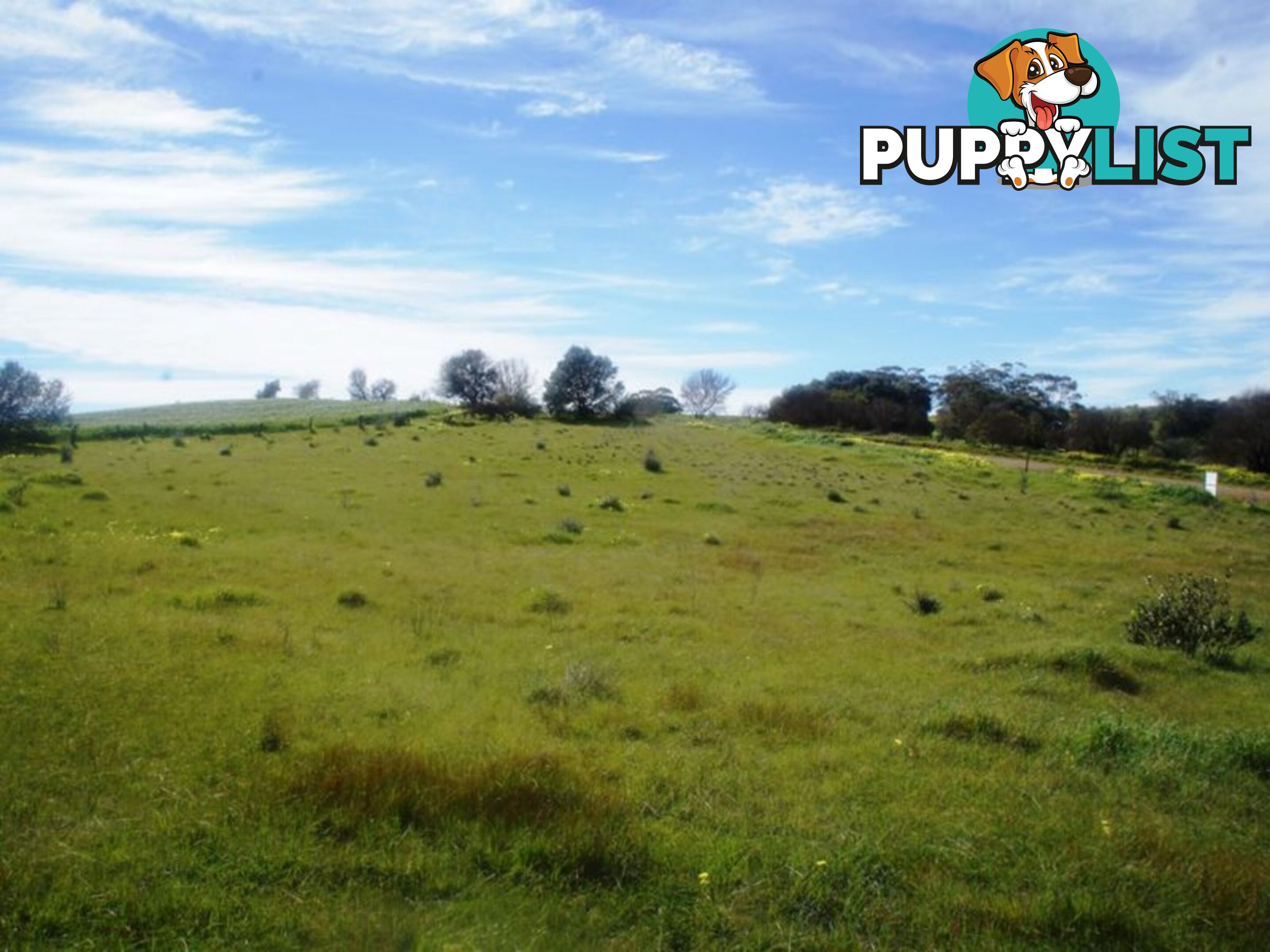 Lot 412 Mattschoss Road DAVEYSTON SA 5355