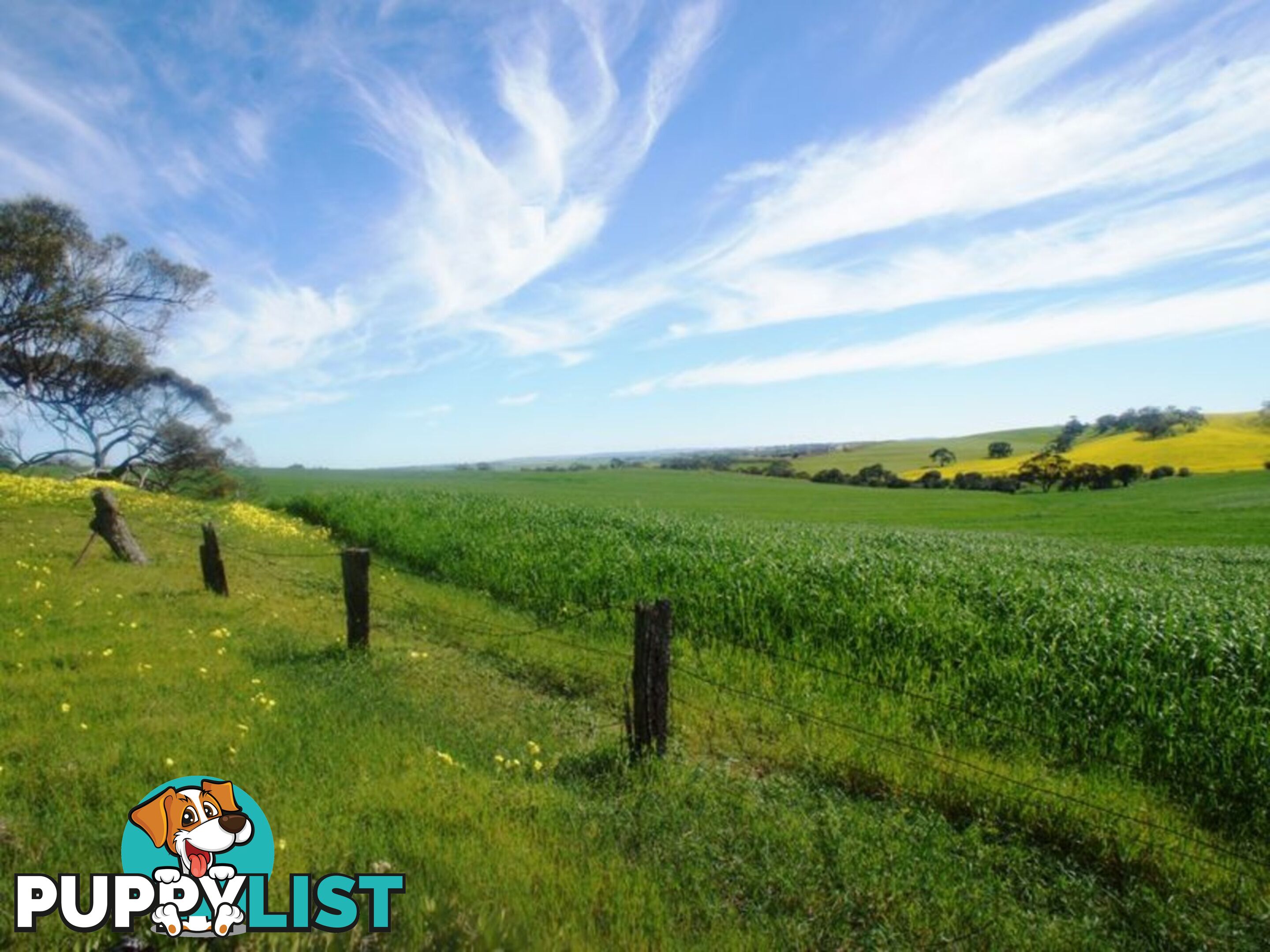 Lot 412 Mattschoss Road DAVEYSTON SA 5355