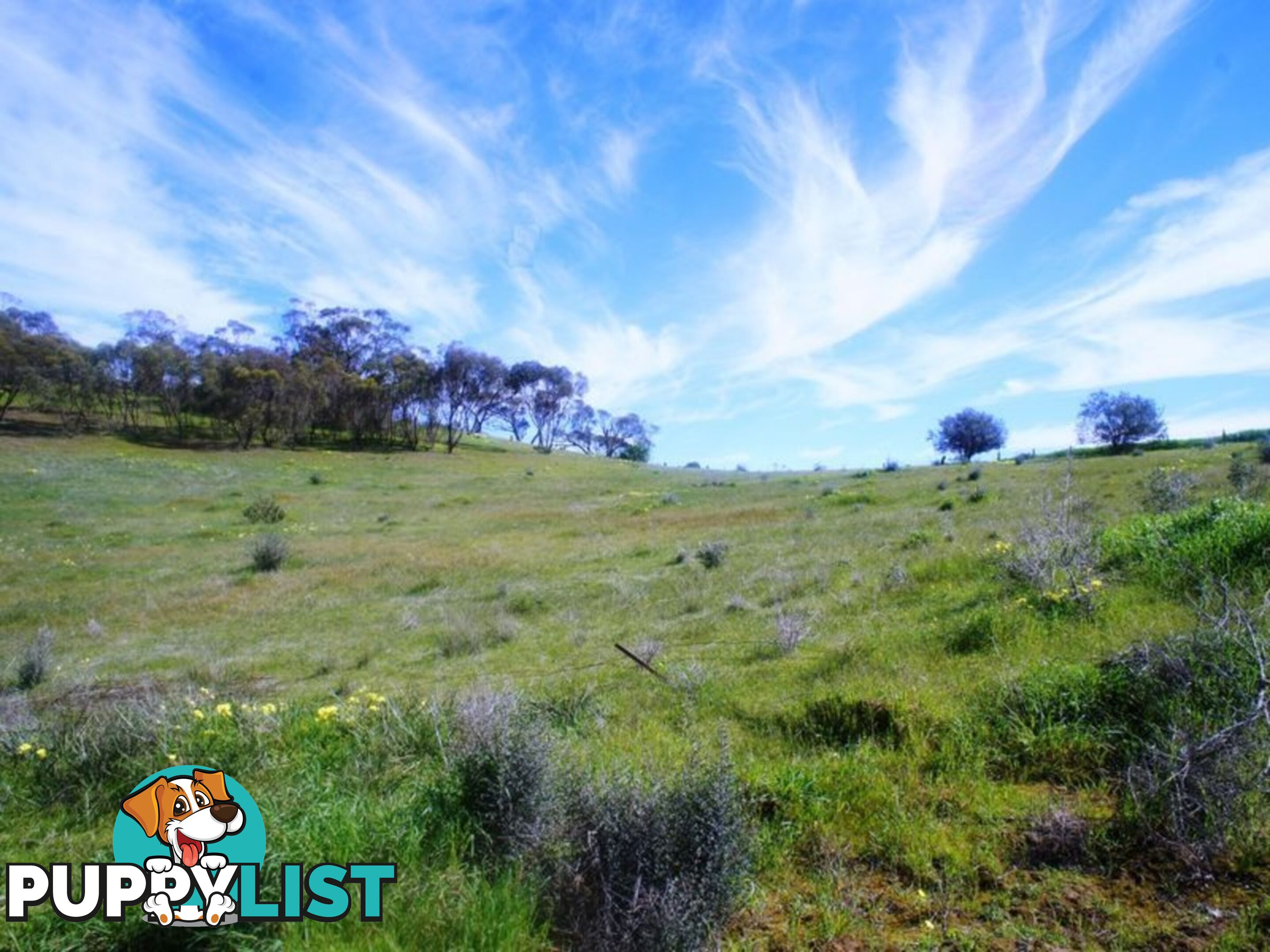 Lot 412 Mattschoss Road DAVEYSTON SA 5355
