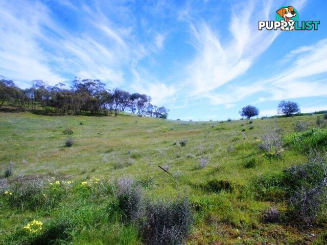 Lot 412 Mattschoss Road DAVEYSTON SA 5355