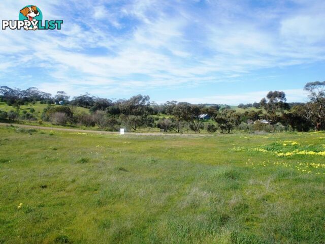 Lot 411 Mattschoss Road DAVEYSTON SA 5355