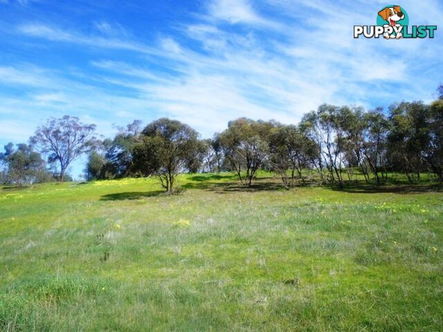 Lot 411 Mattschoss Road DAVEYSTON SA 5355