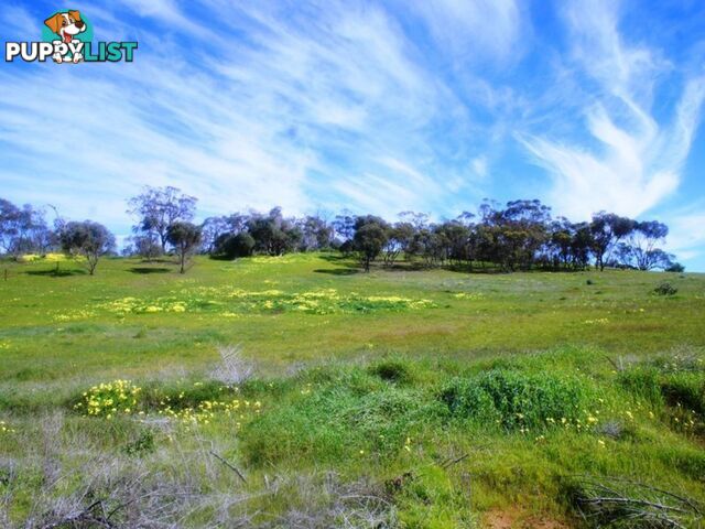 Lot 411 Mattschoss Road DAVEYSTON SA 5355