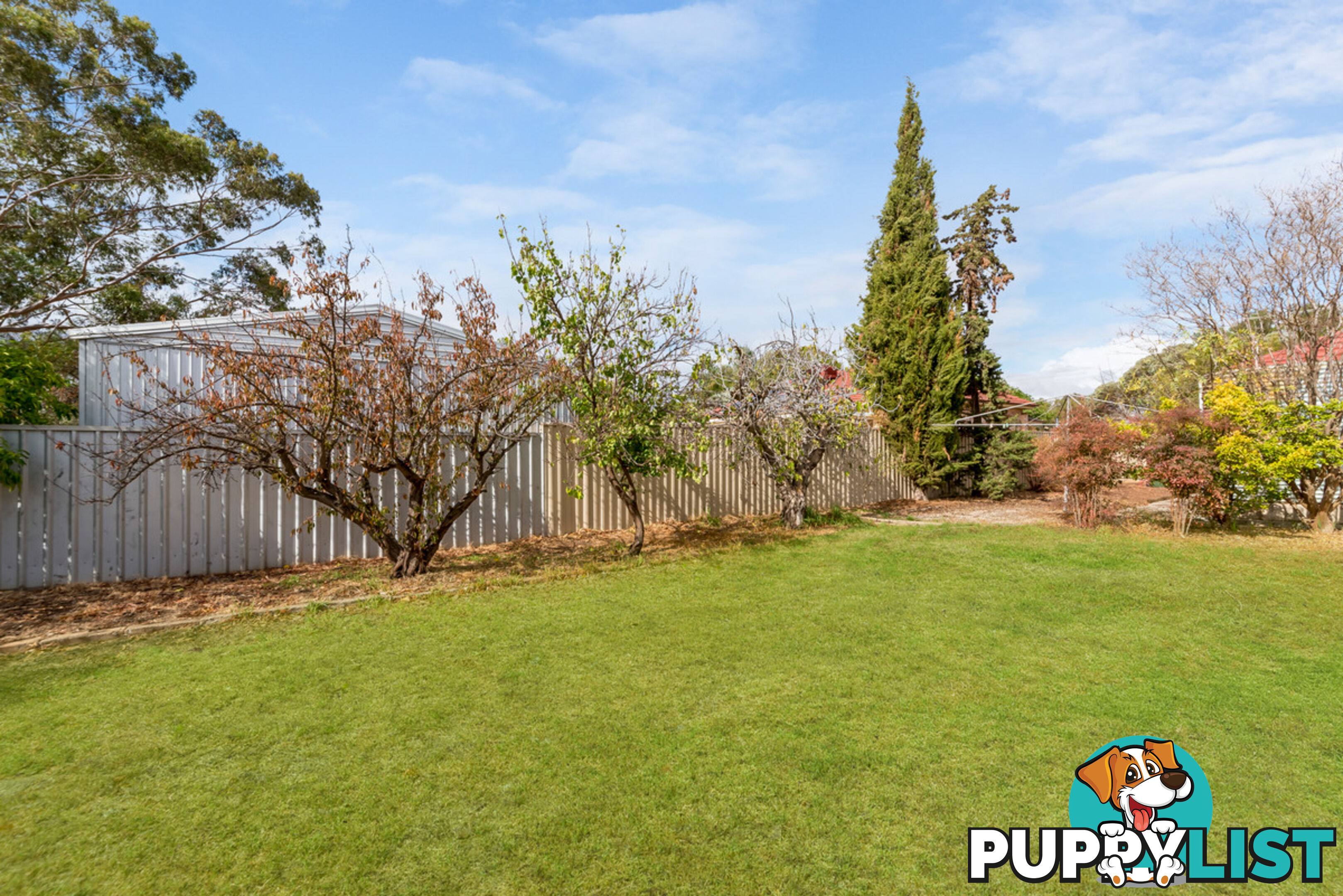 6 Ryde Street GAWLER WEST SA 5118