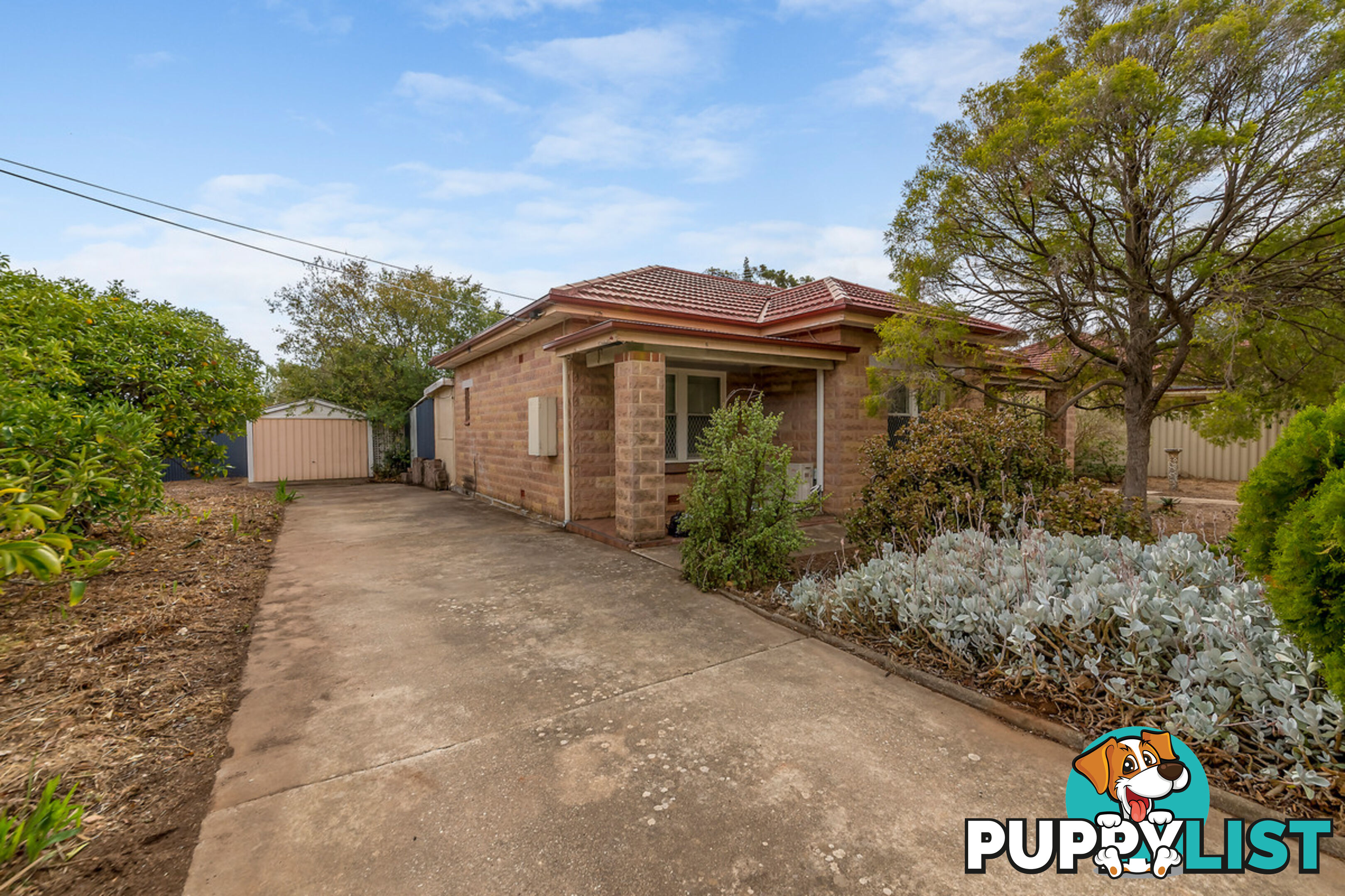 6 Ryde Street GAWLER WEST SA 5118