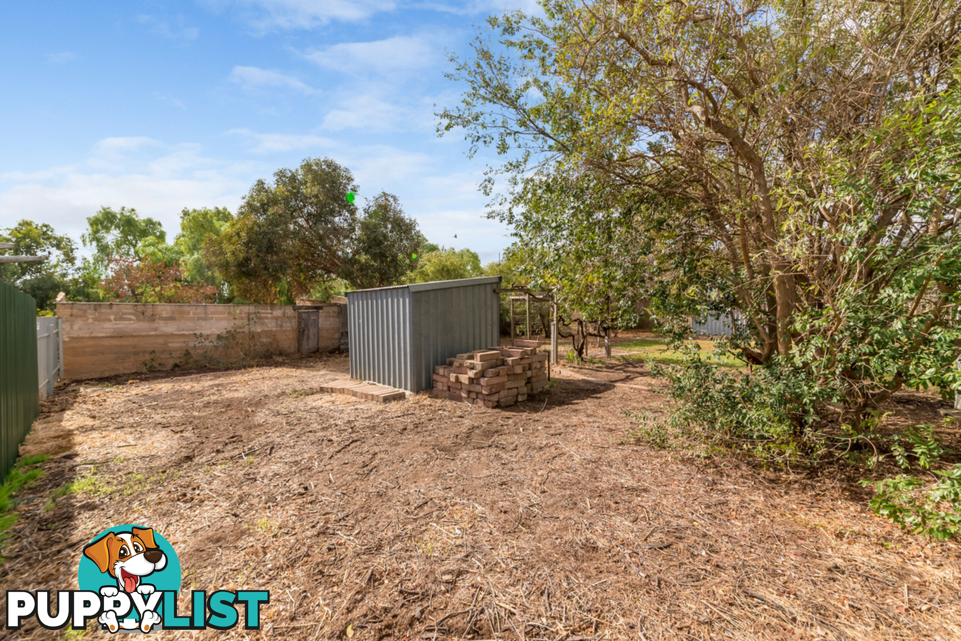 6 Ryde Street GAWLER WEST SA 5118