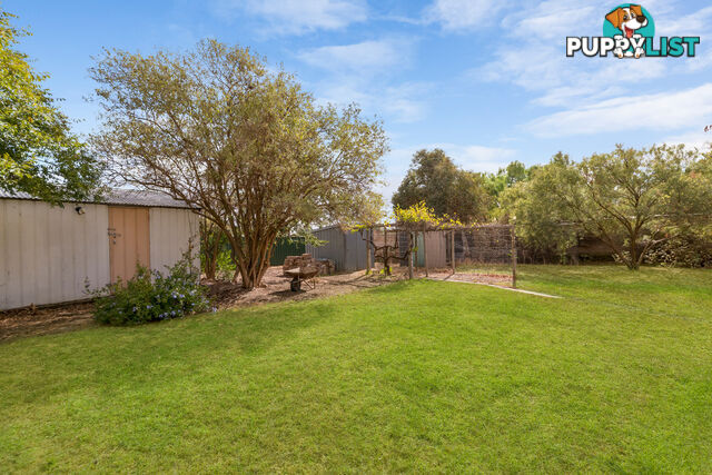 6 Ryde Street GAWLER WEST SA 5118