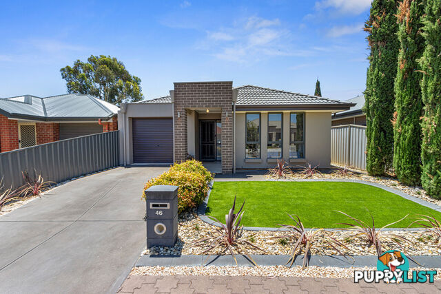 46 Field Street PARAFIELD GARDENS SA 5107