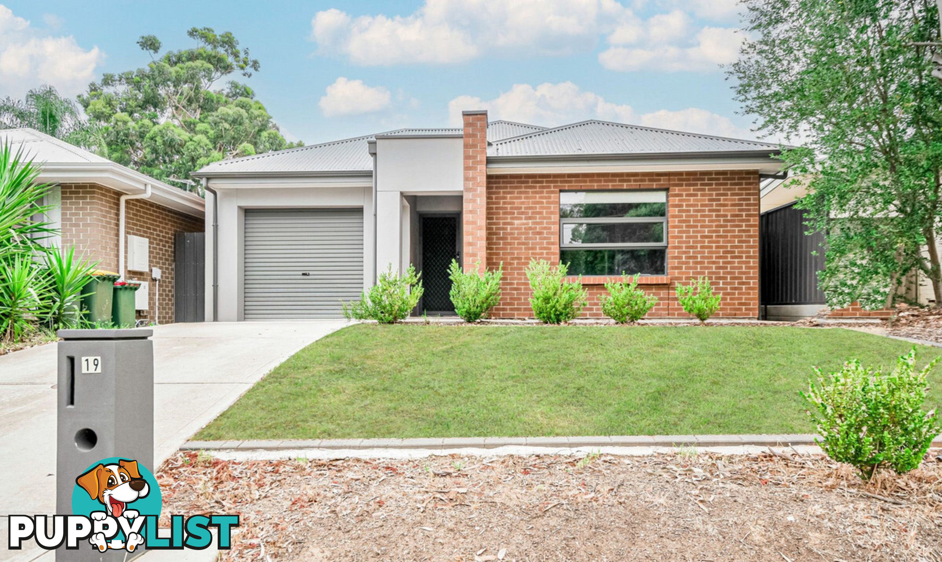 19 Lema Avenue FAIRVIEW PARK SA 5126