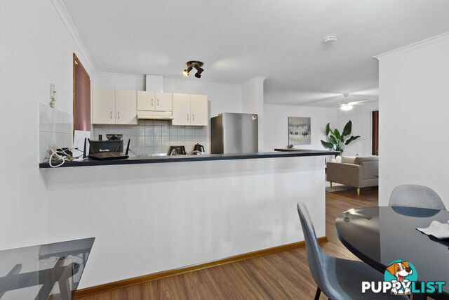 9 Harkness Street WILLASTON SA 5118