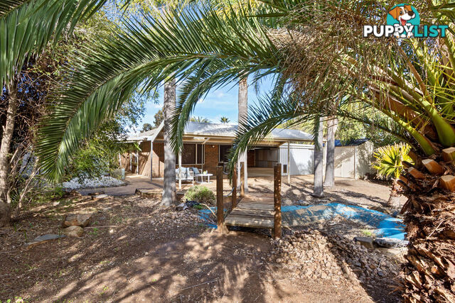9 Harkness Street WILLASTON SA 5118