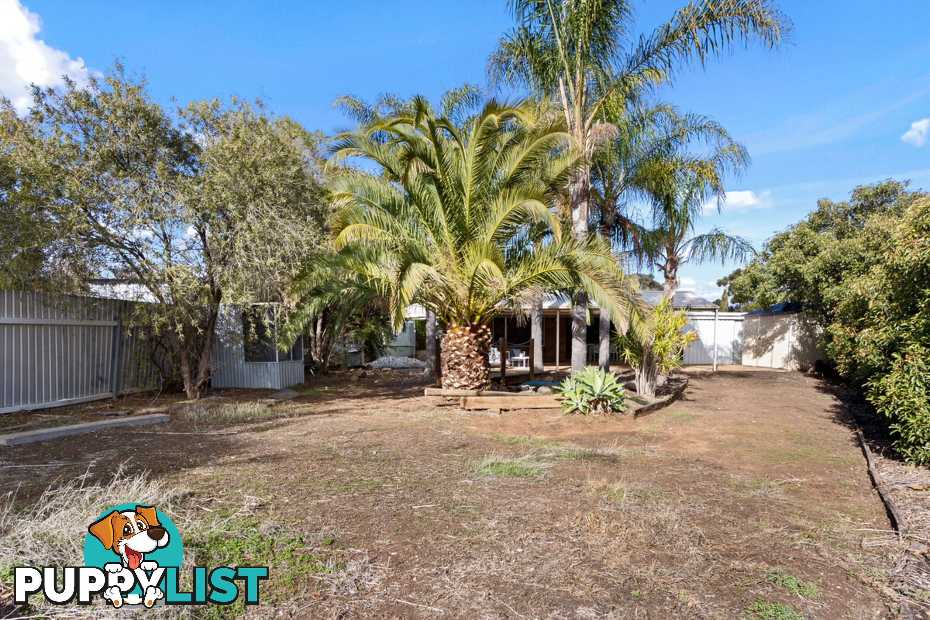 9 Harkness Street WILLASTON SA 5118