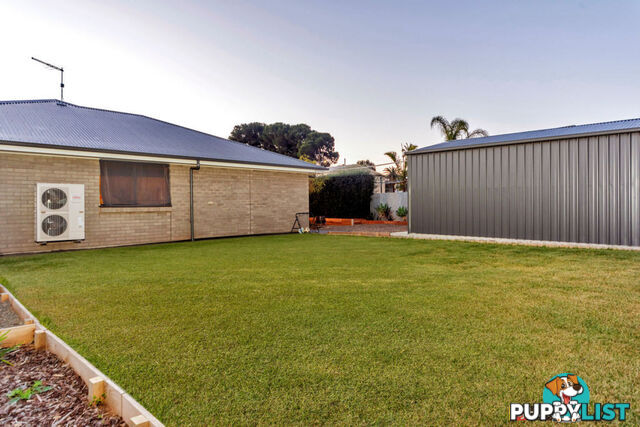 8 Grey Street KAPUNDA SA 5373