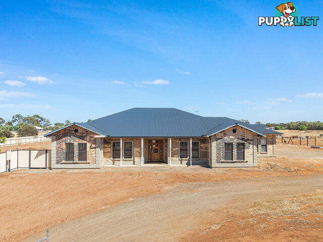 19 Griffiths Road KUDLA SA 5115