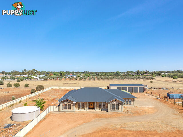19 Griffiths Road KUDLA SA 5115